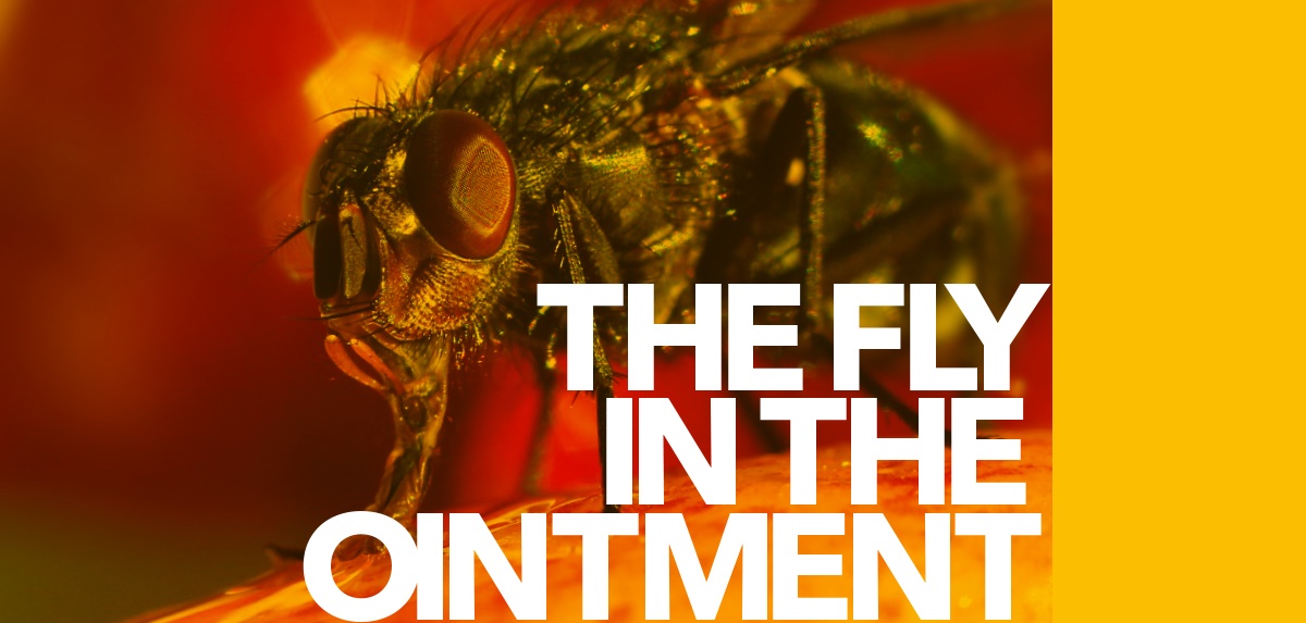 The fly in the ointment The fly in the ointment